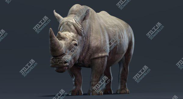 images/goods_img/20210312/Rhino Family (Rigged) model/2.jpg